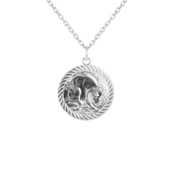 Reversible Zodiac Sign Charm Coin Pendant Necklace in Sterling Silver