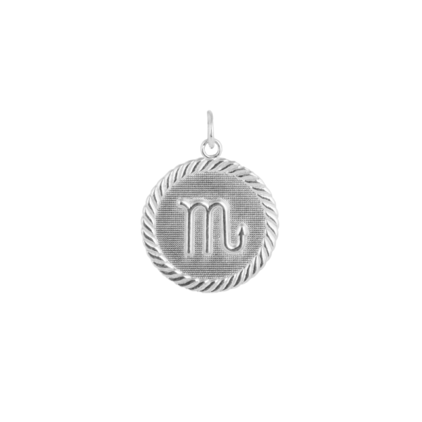 Reversible Zodiac Sign Charm Coin Pendant Necklace in Sterling Silver