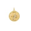Pave Diamond Capricorn Pendant, 14k Yellow Gold Pendant, Yellow Gold Zodiac Sign Charms, Gold Diamond Pendant Christmas Gift