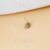 925 Sterling Silver Gold Plated Pave Diamond Leaf Charm